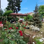 Rusidava Eforie Nord