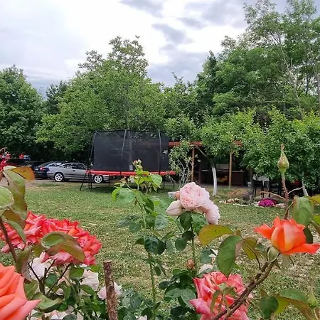 Casa de hóspedes Rusidava